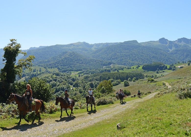 Un jour à cheval sur le plateau du Bénou