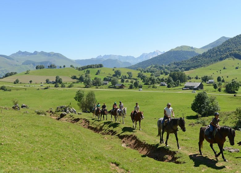 Un jour à cheval sur le plateau du Bénou