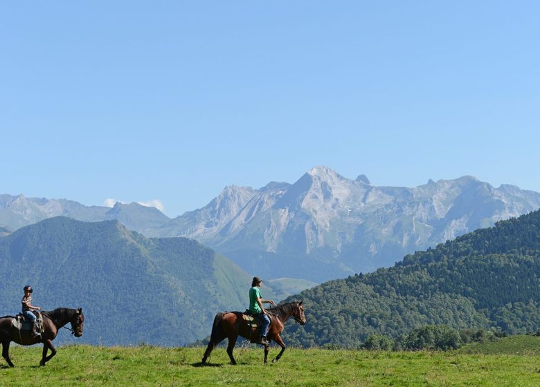 Randonnée à cheval sur le plateau du Bénou – 2h