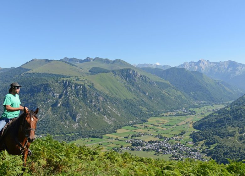 A la découverte du plateau du Bénou à cheval – 1h