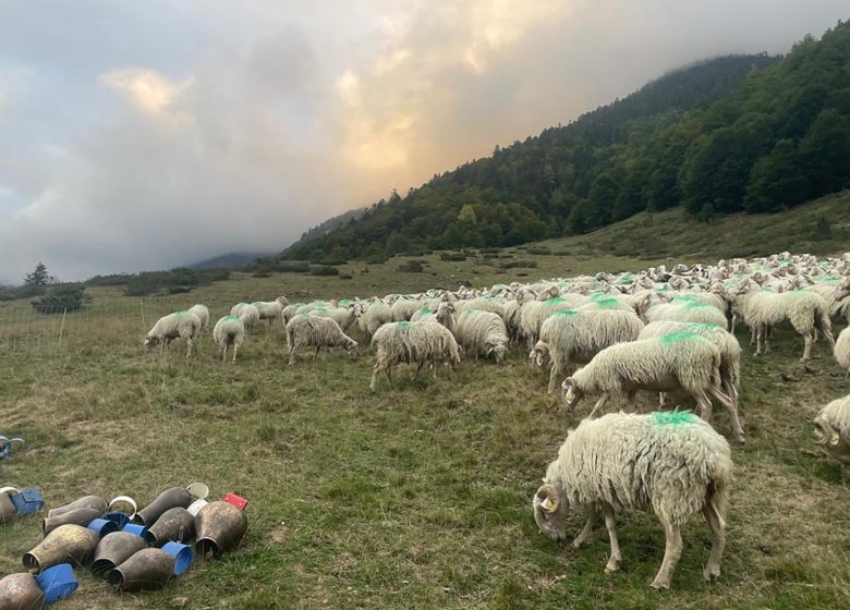 Ferme Guédot