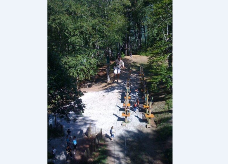 La Forêt Suspendue