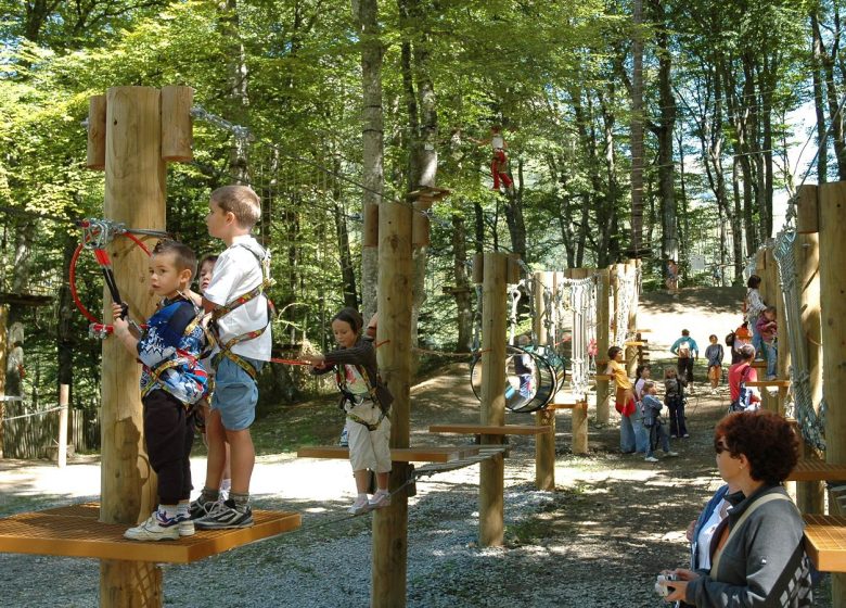 La Forêt Suspendue