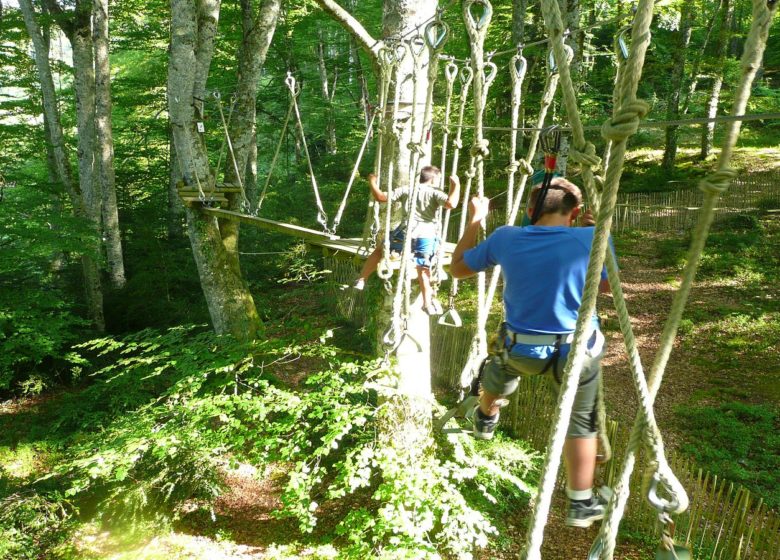 El bosque colgante