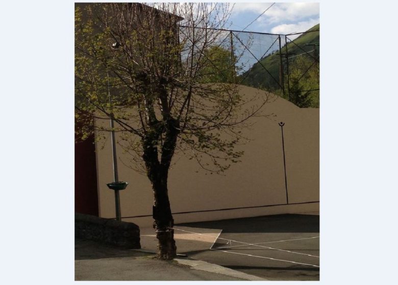 Fronton