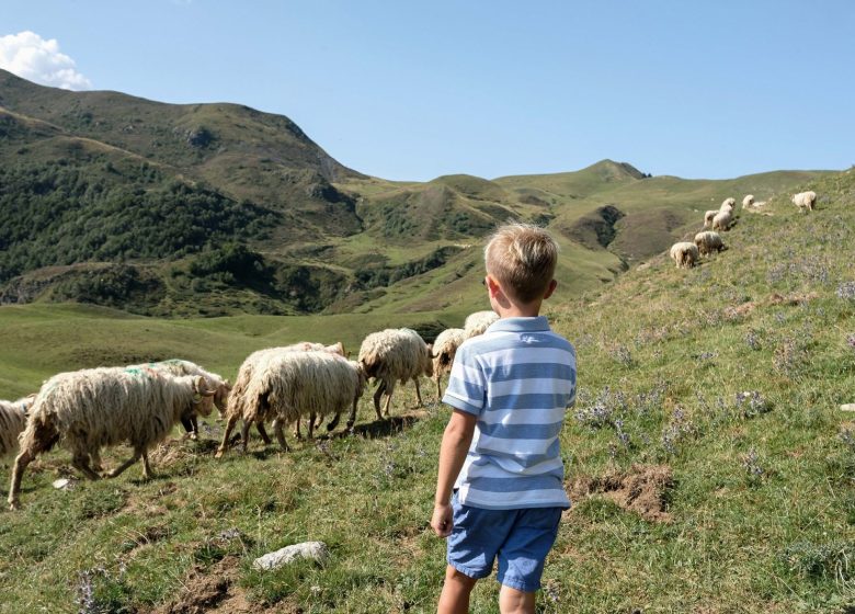 En vacances avec papy et mamie