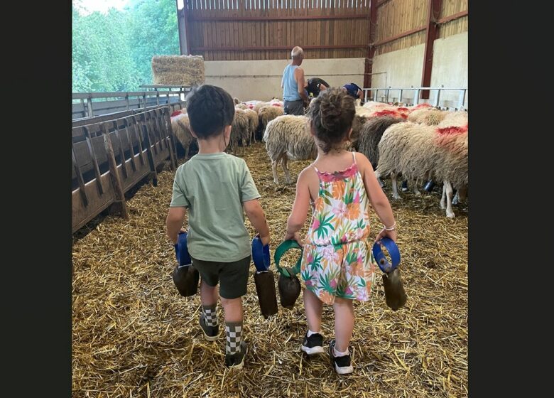 Ferme Bonnemason – GAEC Anglas