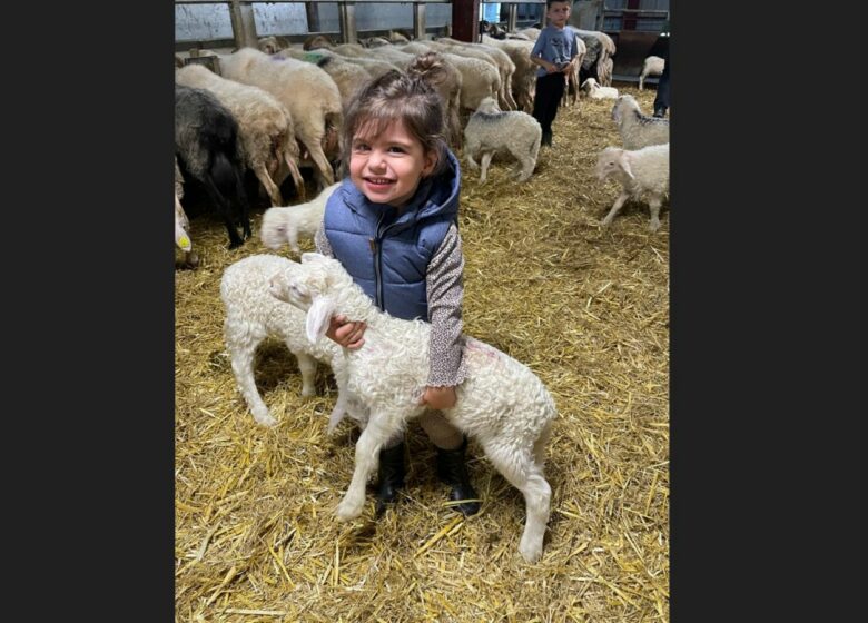 Ferme Bonnemason – GAEC Anglas
