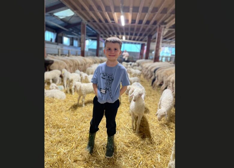 Ferme Bonnemason – GAEC Anglas
