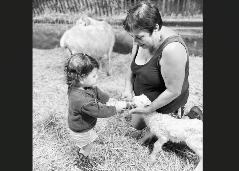 Ferme Bonnemason – GAEC Anglas