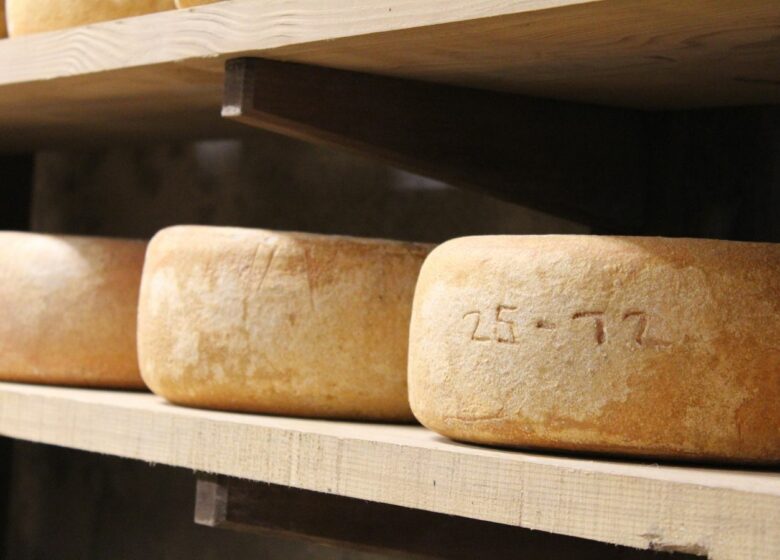Ferme Bonnemason – GAEC Anglas