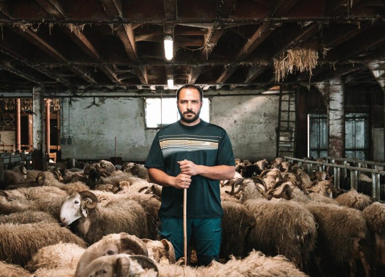 Ferme Bonnemason – GAEC Anglas