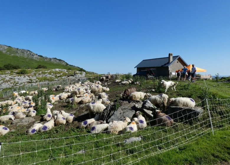 La Ferme du Brouquets