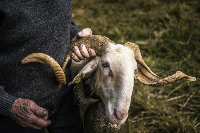 Exposition : Photographies d&rsquo;Adrien Basse