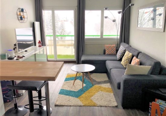 Appartement « L’Ossau Blanc »