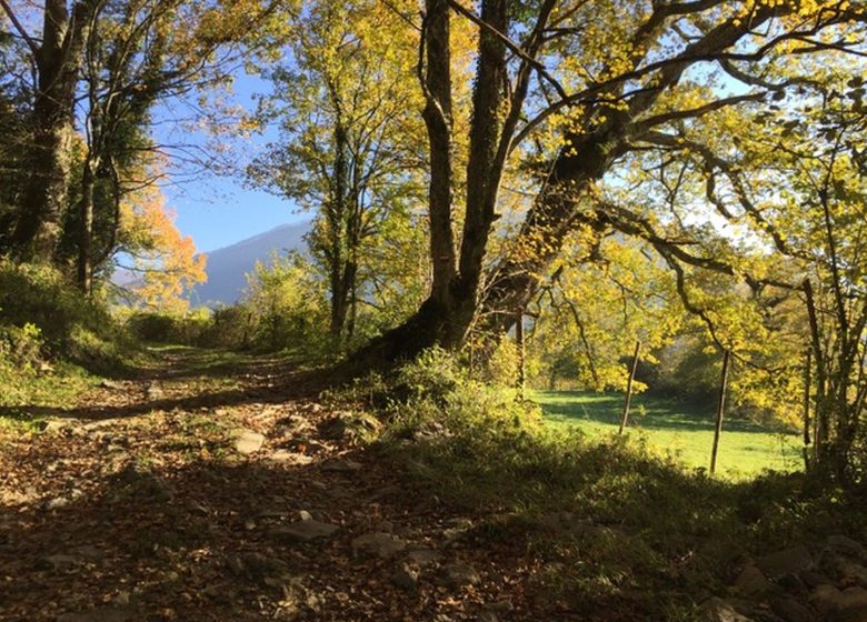 Gîte Le Beau Lavoir