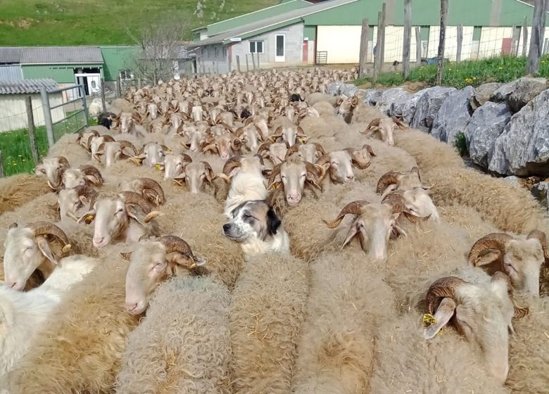 Ferme Guédot