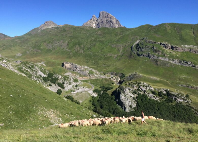 Bergerie Loustau