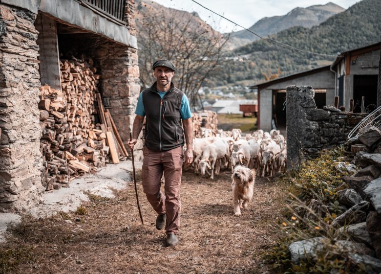 Séjour à la ferme