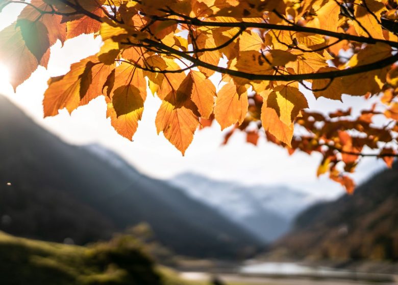 Petites Vacances parfaites à la montagne