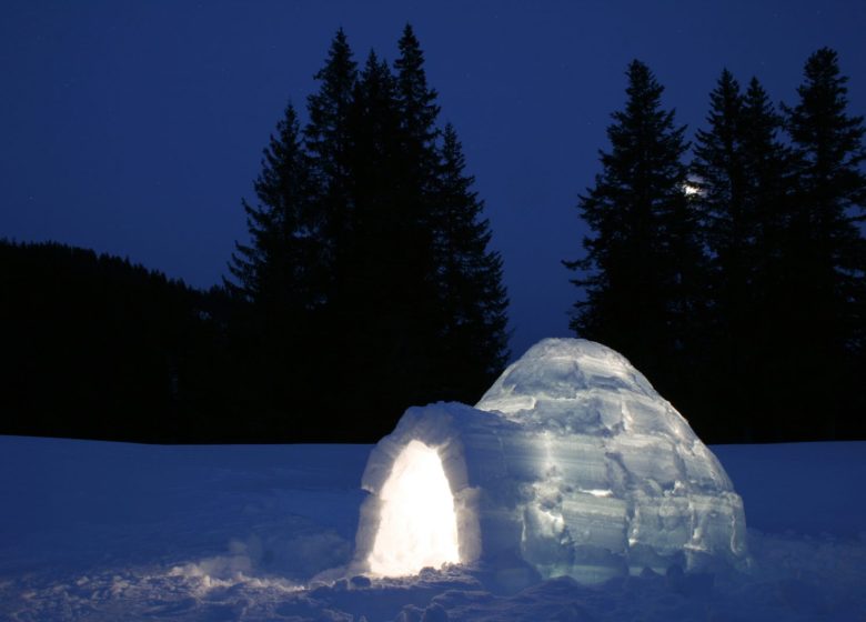 Nido di ghiaccio e bagno nordico