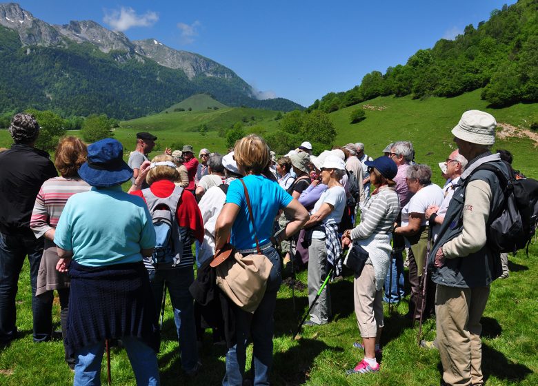 Journée au pays du berger