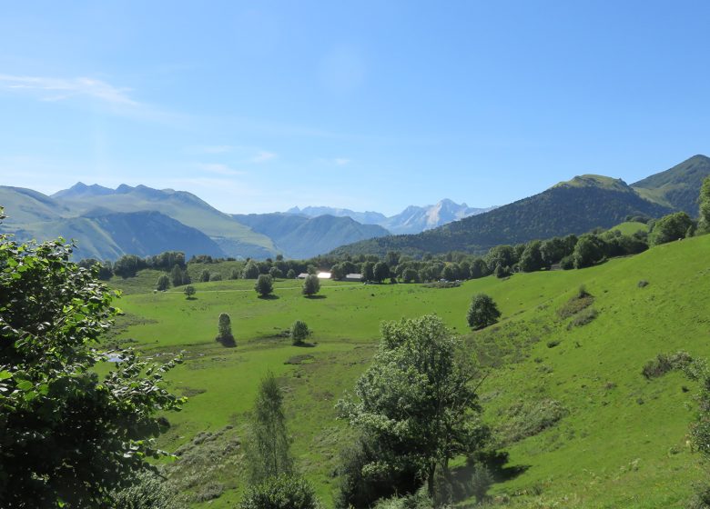 Journée au pays du berger