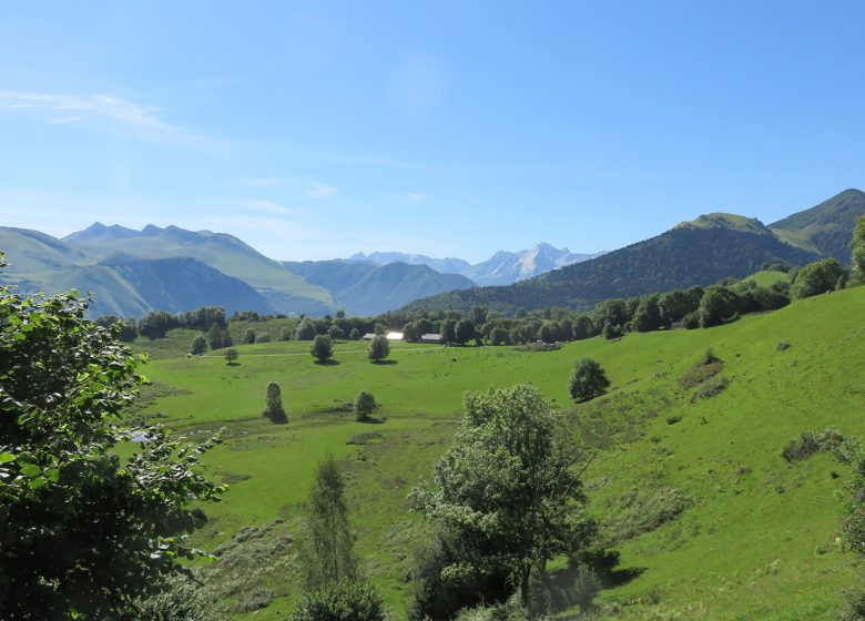 Balade avec un berger au Soulor