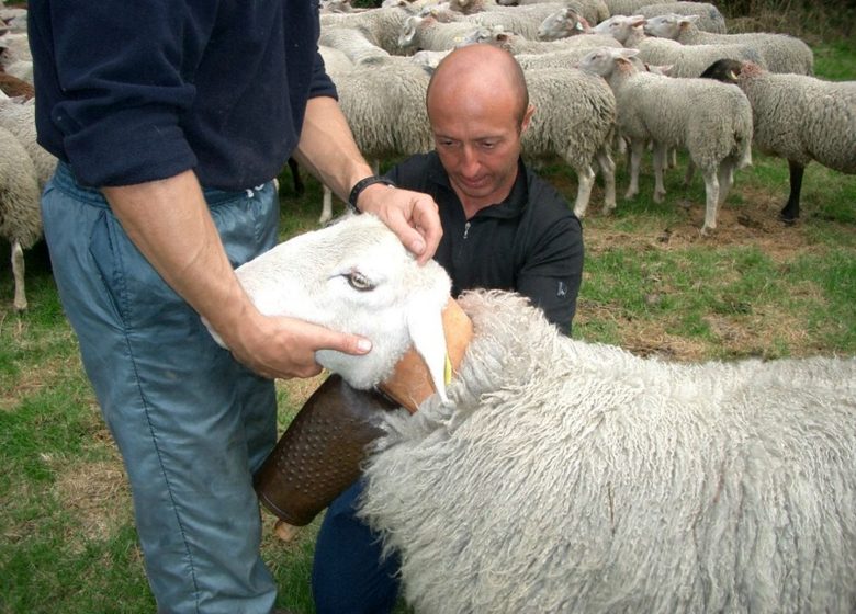 Sr. Jean-Pierre POMMIES – Guía de montaña