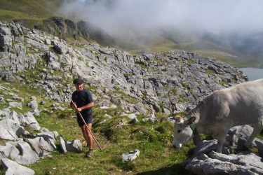 Monsieur Jean-Pierre POMMIES – Accompagnateur Montagne