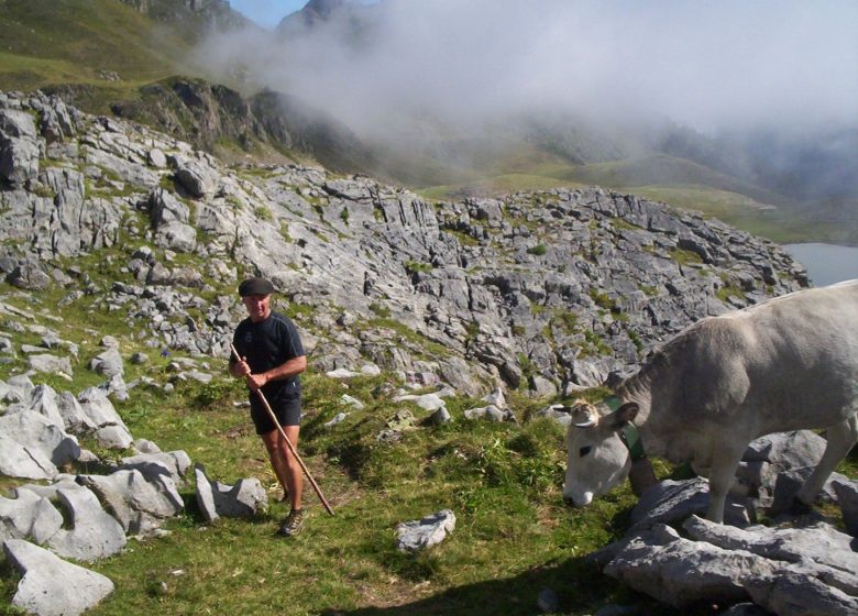 Monsieur Jean-Pierre POMMIES – Berger Transhumant & Accompagnateur en Montagne