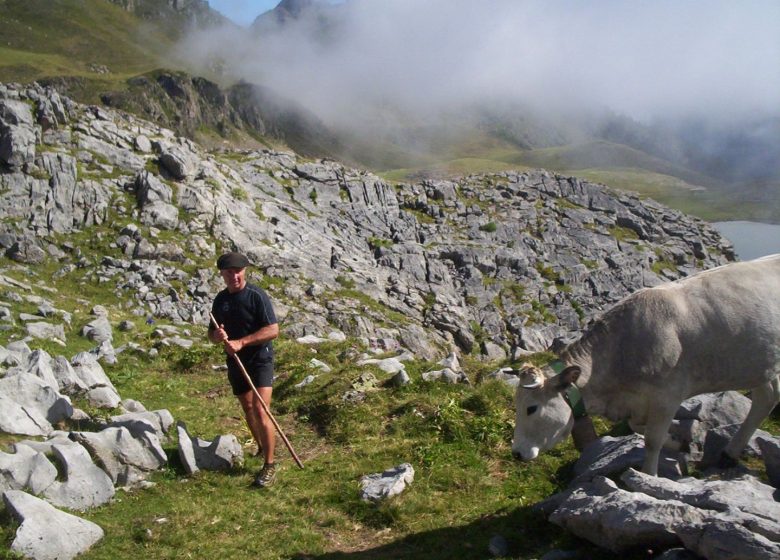 Monsieur Jean-Pierre POMMIES – Accompagnateur Montagne