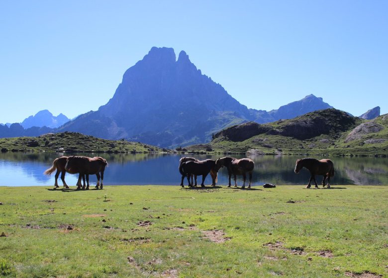 Aventure Land en Ossau