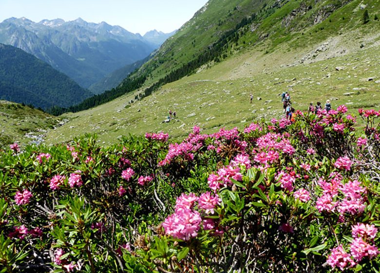 Massif de Gourette, les lacs de Louesque