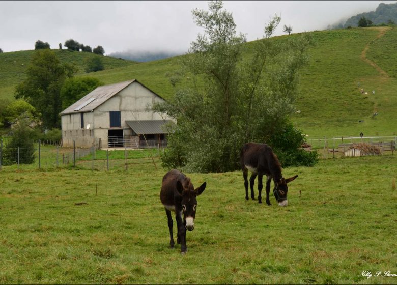 Casa rural Tabalou