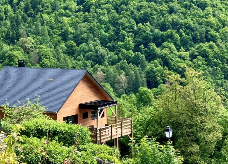 Chalet « Le Siffleur »