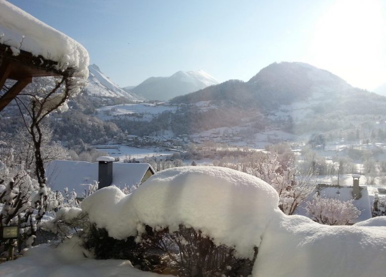 Chalet les Hortensias