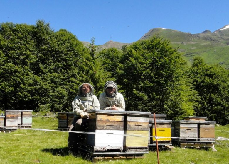 Fattoria del Miele della Montagna Verde