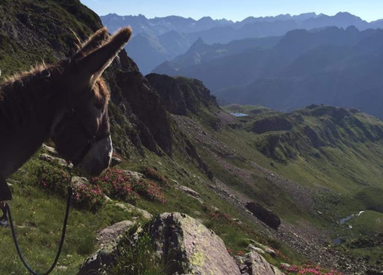 Bivouac dans la Vallée des Merveilles