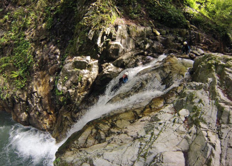 Nature Spirit