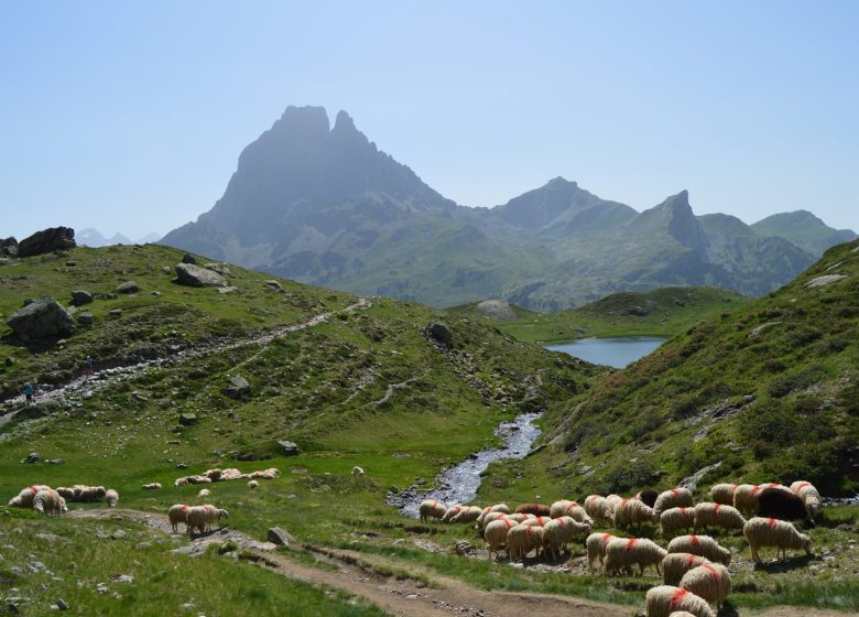 Parc National des Pyrénées