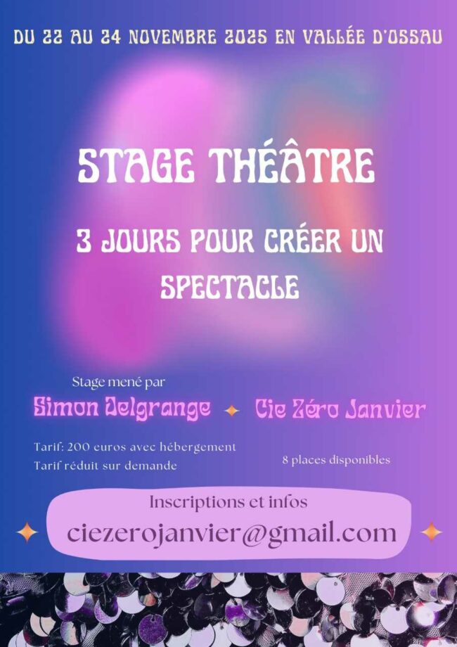 Théâtre : pièce des stagiaires de la Cie Zéro Janvier