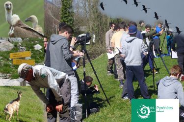 Sorties encadrées dans le Parc National des Pyrénées