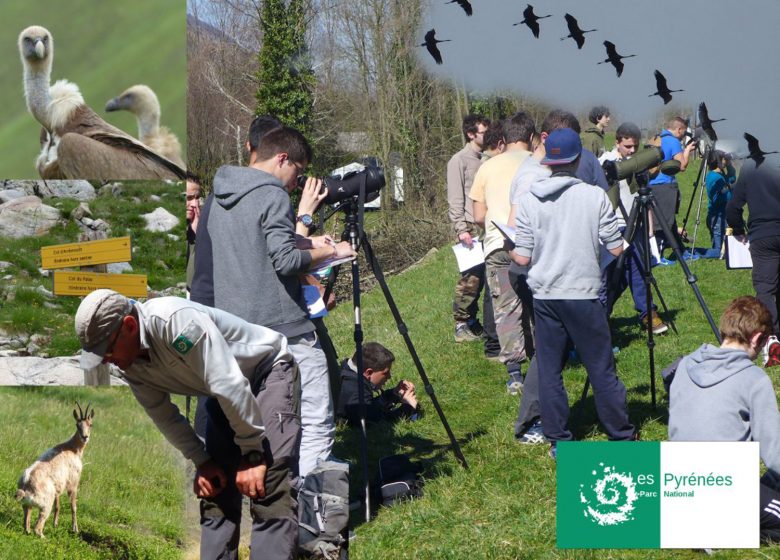 Sorties encadrées dans le Parc National des Pyrénées