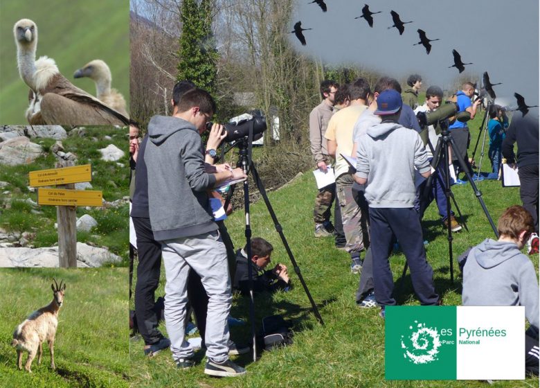 Sorties encadrées dans le Parc National des Pyrénées