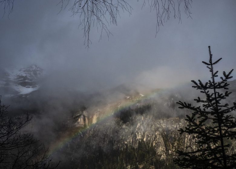 Begeleide uitstapjes in het Nationaal Park Pyreneeën