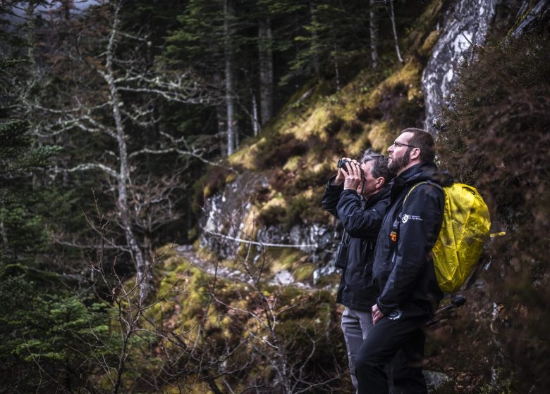 Betreute Ausflüge in den Nationalpark der Pyrenäen