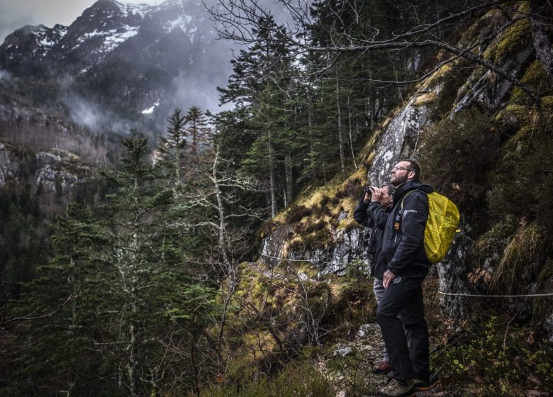 Salidas supervisadas en el Parque Nacional de los Pirineos