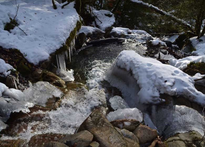 Spa et raquettes en Vallée d’Ossau