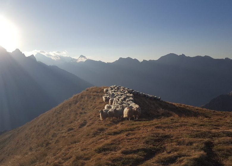 Pierre Vidal – Accompagnateur montagne